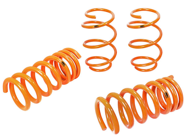 AFE: Control Lowering Springs Ford Mustang GT (S550) 15-18 V8