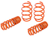 AFE: Control Lowering Springs BMW M3 (E90/92) 08-13