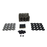 BTR:  SK427 SPRING KIT - SOLID ROLLER LSx - SK427/500