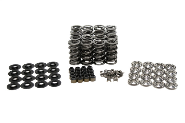 BTR:  DUAL SPRING KIT - .685