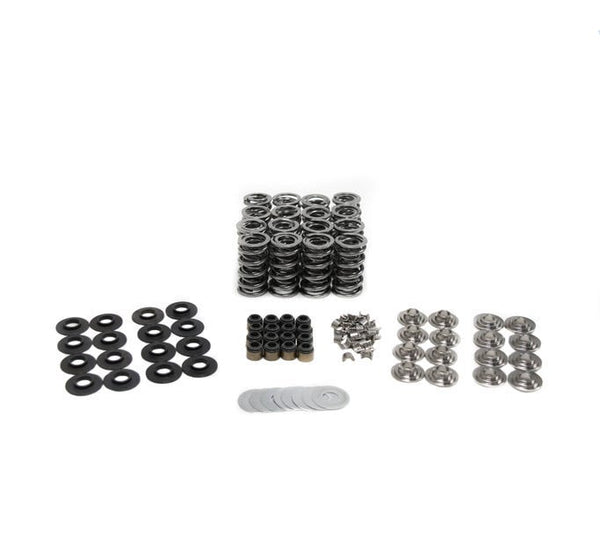 BTR:  VALVE SPRING KIT - .630