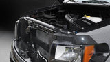 Corsa Performance 2011-2014 Ford F150 & Raptor 6.2L V8 PowerCore Closed Box Air Intake (44388)