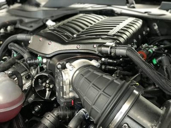 WHIPPLE: [ 2015-2017 Mustang GT ]  STAGE 1 (3.0L) Intercooled Supercharger Kit