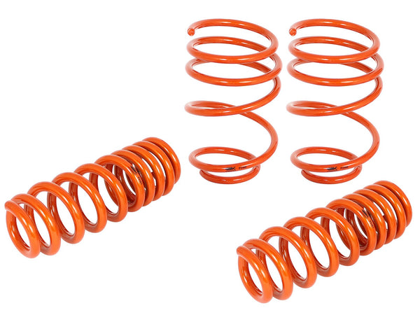 AFE: Control Lowering Springs BMW 335i (E90/92) 07-13