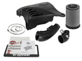 AFE: Momentum GT Cold Air Intake System w/Pro DRY S Filter Media BMW 116i/118i (F20/F21) 11-15 L4-1.6L (t) N13