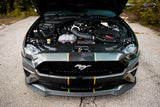 Beechmont Ford Performance (BFP):  Roush Supercharged Ford Mustang 700HP+