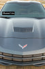 RaceMesh Grilles: Hood Vent Mesh  [C7 Corvette, LT1]