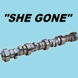 DMS: "She Gone" Spec PD LSA Camshaft
