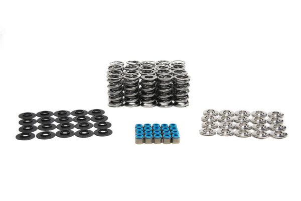 BTR:  PLATINUM DODGE VIPER DUAL SPRING KIT - .660