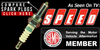 Brisk: Silver Spark Plugs  [LT Port Injected Engines]