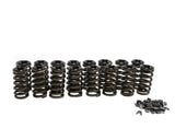 BTR:  FORD 2V MODULAR SPRING KIT - .550" LIFT - CHROMOLY RETAINERS - SK005S