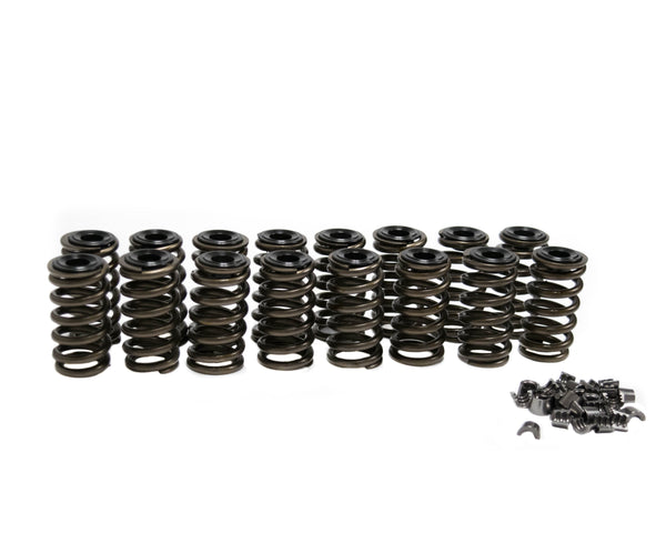 BTR:  FORD 2V MODULAR SPRING KIT - .550