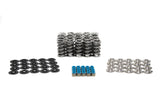 BTR:  .660" LIFT DUAL SPRING KITS FOR DODGE VIPERS