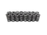 BTR:  PLATINUM DUAL VALVE SPRING SET - .660" LIFT - SP001-16