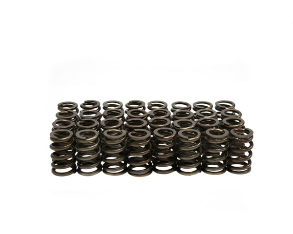 BTR:  FORD 4V MODULAR SPRING SET - .500