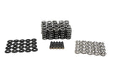 BTR:  PLATINUM DODGE VIPER DUAL SPRING KIT - .660" LIFT