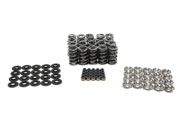 BTR:  PLATINUM DODGE VIPER DUAL SPRING KIT - .660