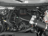WHIPPLE: 2.9L Intercooled Supercharger Kit  [ 2010-2014 Ford F150/Raptor 6.2L ]